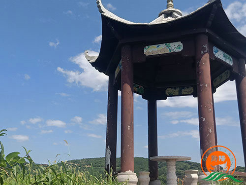 黔陽瞐黔陽黃桃產業園5 黔陽瞐黔陽黃桃產業園5